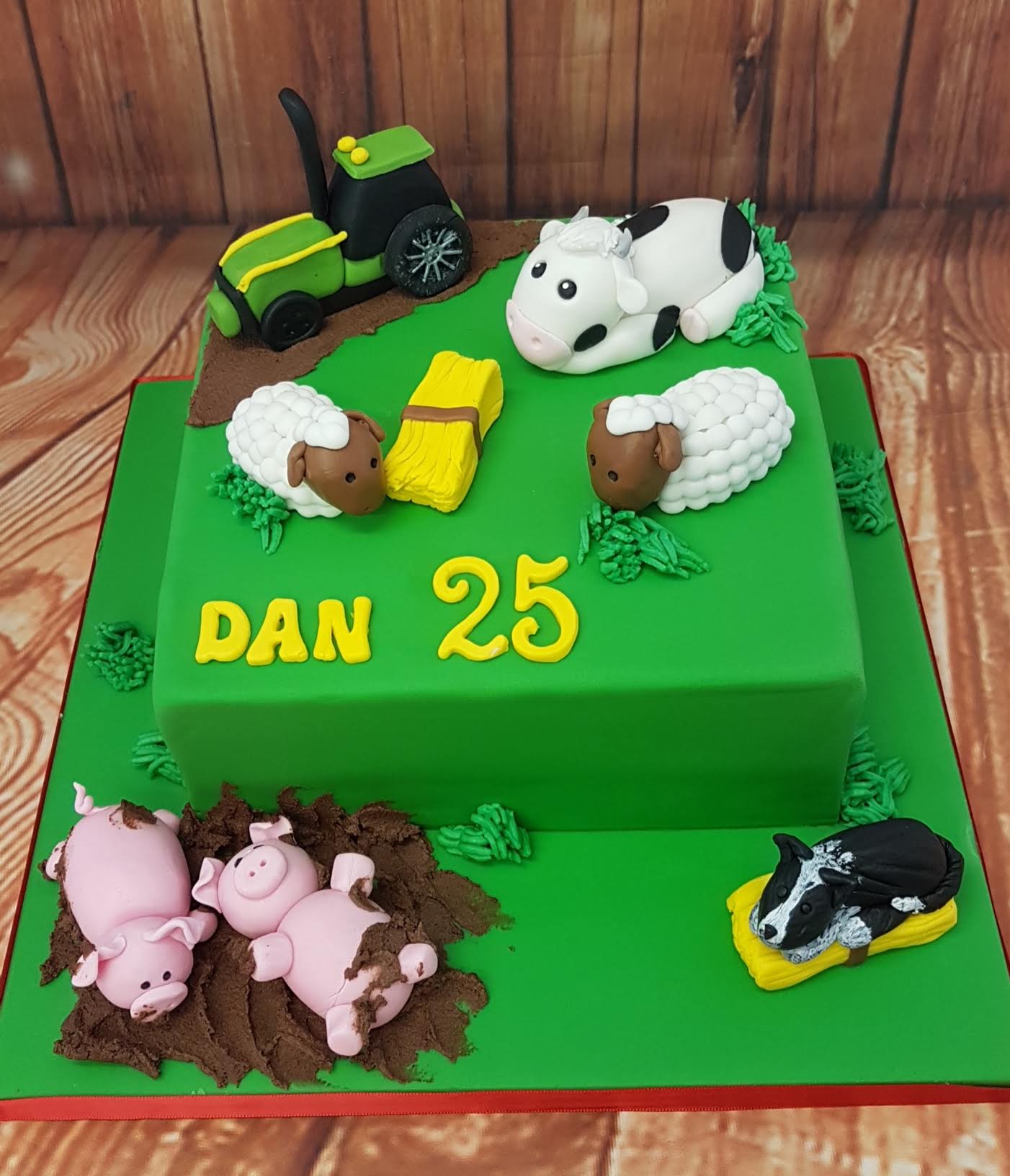Novelty Cakes 42